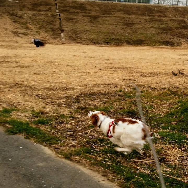 1f9f1c88 1775 435c a9b9 6ec55c1fa24a 1550793052642