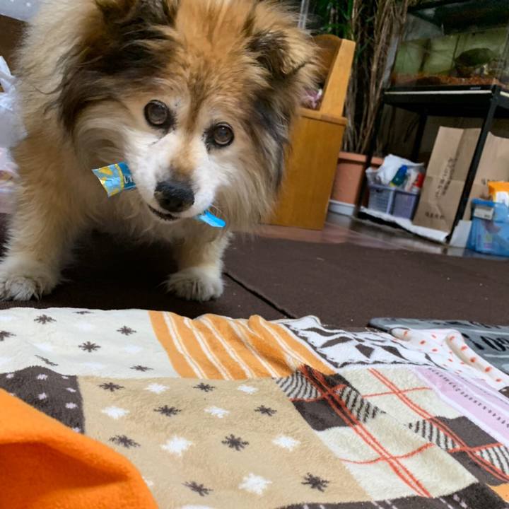 1f9f367d 5475 4962 8239 3145912ec89d 1555933469748