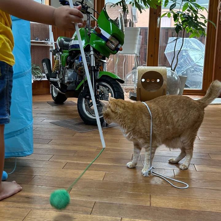 1f9f430e 50dc 411a 8ed7 9c063e9c875e 1689246746209