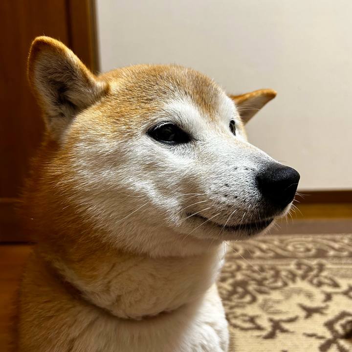 1f9f56bb 8467 4f58 a1d6 61d28e50a511 1713953860905