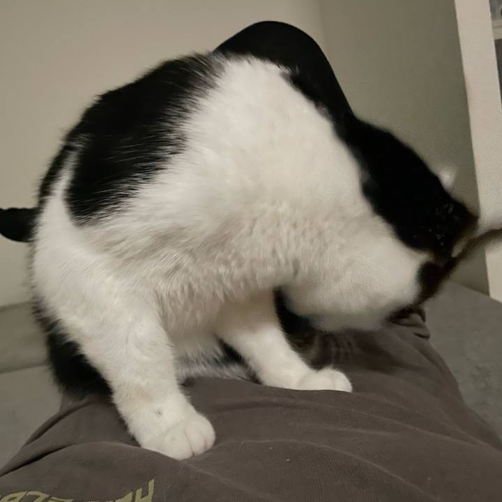 1f9f7229 7f0d 4dbc 9fd4 6f3b861b1090 1665333303467