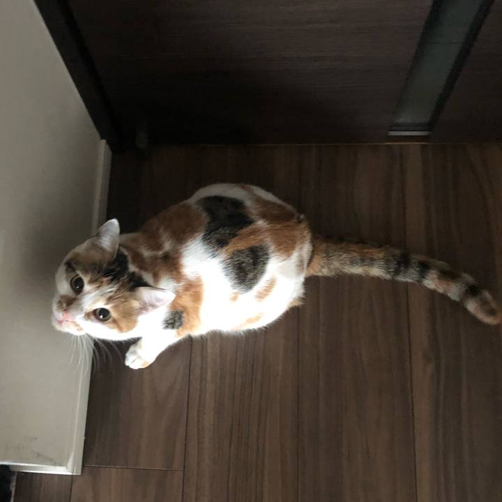 1f9f799c 79ae 4014 9f6c 6cdf0b3fd50b 1580686261334