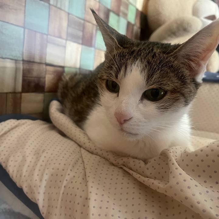 1f9fb224 9716 4583 8a67 05de14872d14 1640821178301