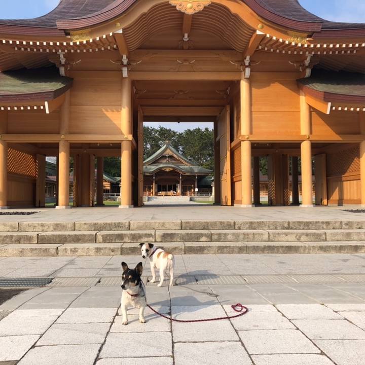 1f9fd707 d463 49a6 8768 2076cbc32e22 1558650832217