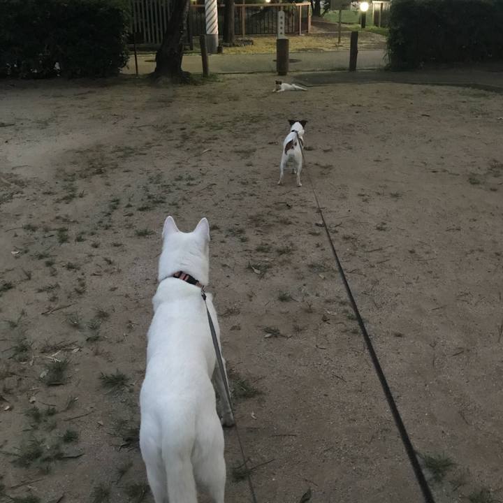 1f9ff2b7 58f1 44cf 819f e39ed707c8fa 1533474606377