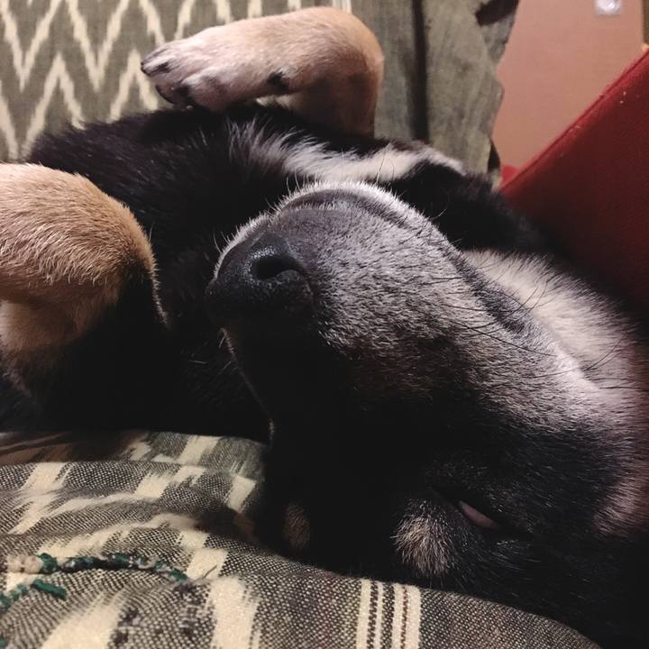 1fa00325 875c 4c61 9080 6b7e76b48d16 1548862997298