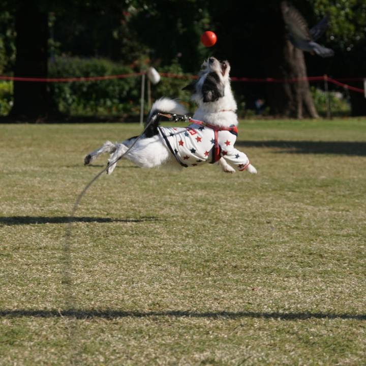 1fa059e7 d878 4464 99d7 1adc009ccb03 1697182387775