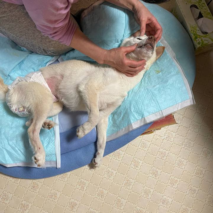 1fa07528 a860 4d72 a514 3e67b7a9b7e1 1676373932305