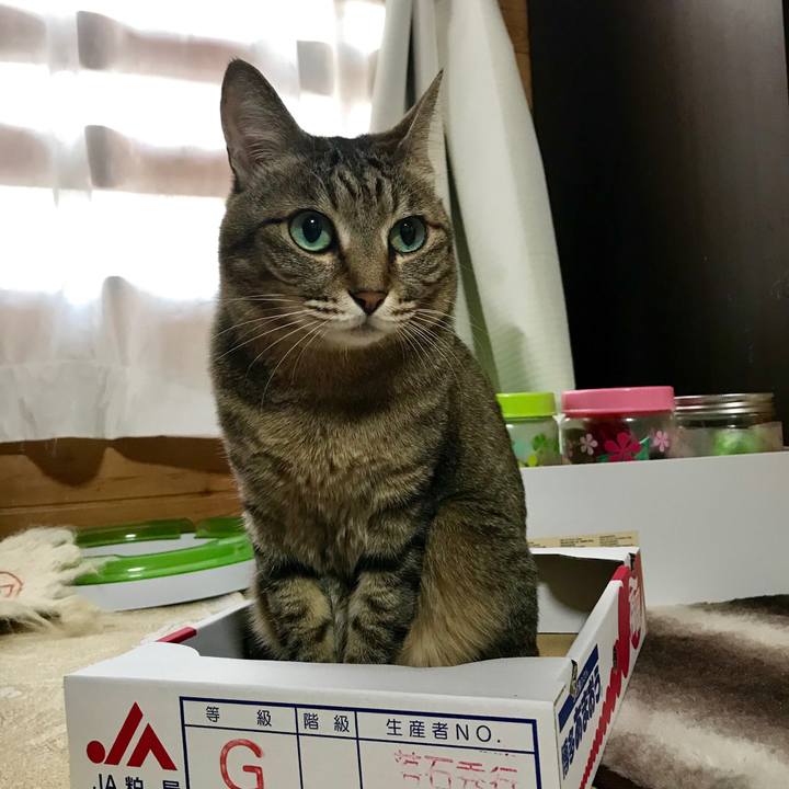 1fa07d6e 445b 4f18 83c7 7d5ca7acb334 1550704150124