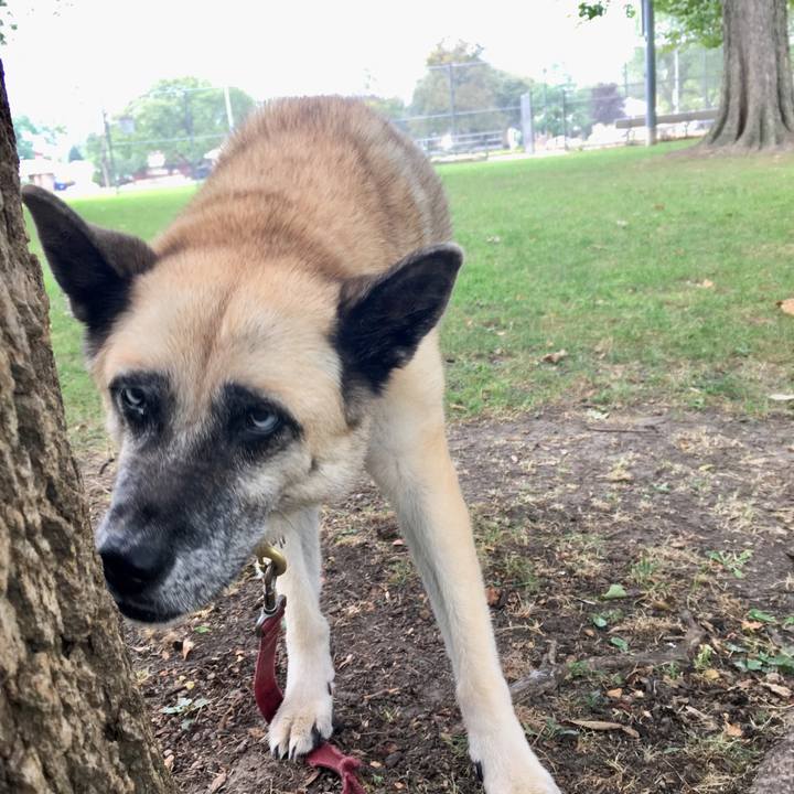 1fa08751 56c3 45c2 8afe 716df5779c74 1537839428766