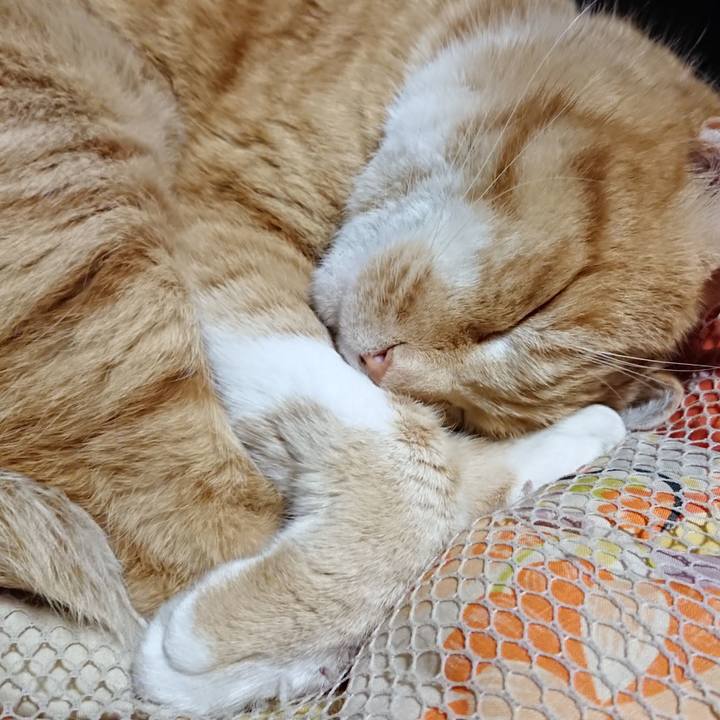 1fa08f5b 49b3 4ac3 8d7b 88752ccccc68 1608550055705