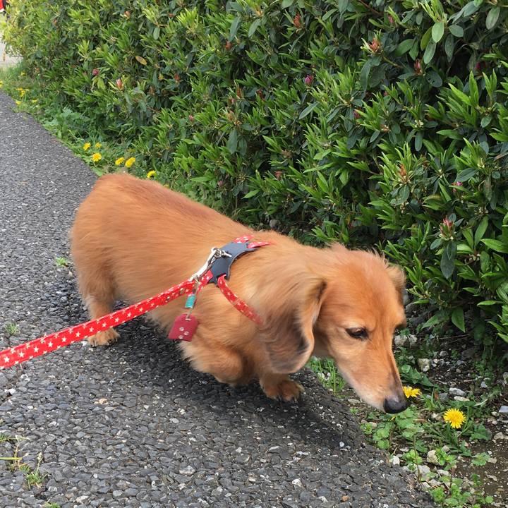 1fa090cf 4644 4ab2 8a07 2d6af7f4829b 1586955247898