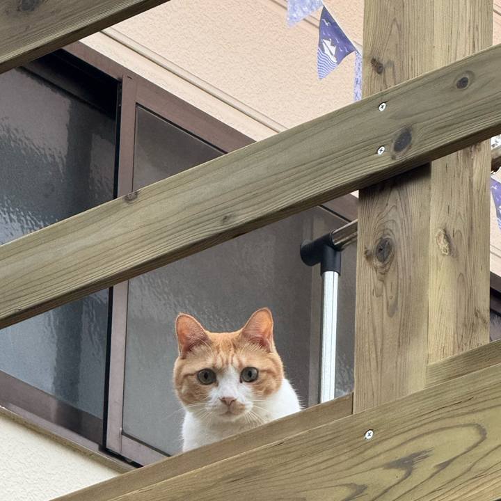 1fa0a022 a6d0 4357 8577 71ac5fcff4ca 1757990576292