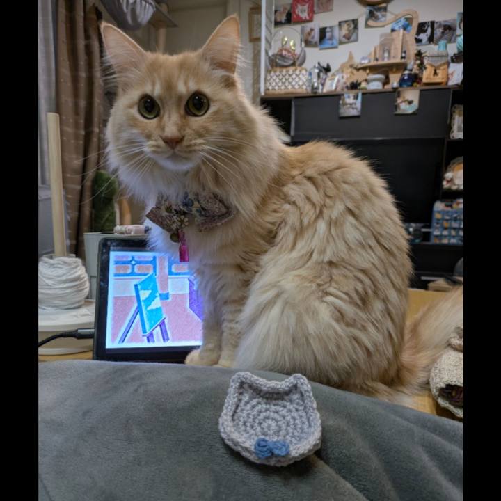 1fa0a404 f581 4ce0 a675 0e4d90329003 1769682726089