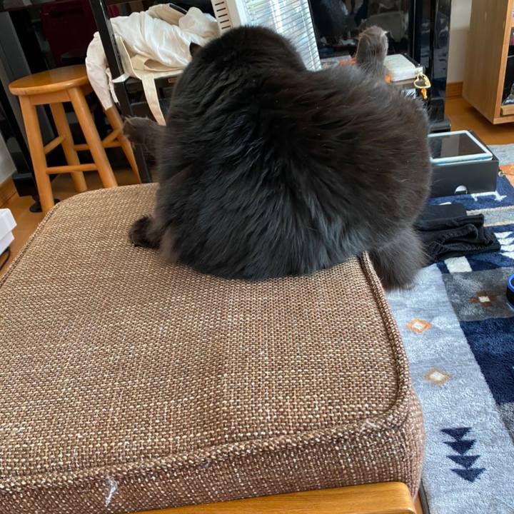 1fa0b75e 034e 47ce b0f0 d0b831ae7e2a 1604800159524