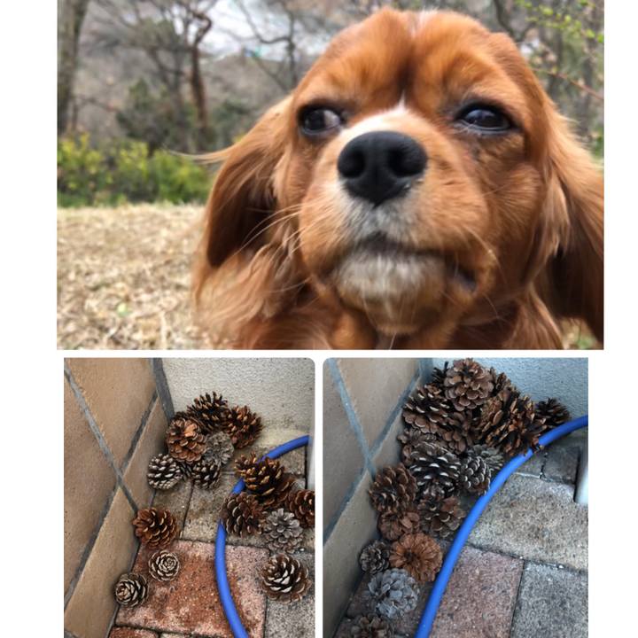 1fa0c1f4 4ab7 4cef b400 fc64d2ab60d9 1553690264808