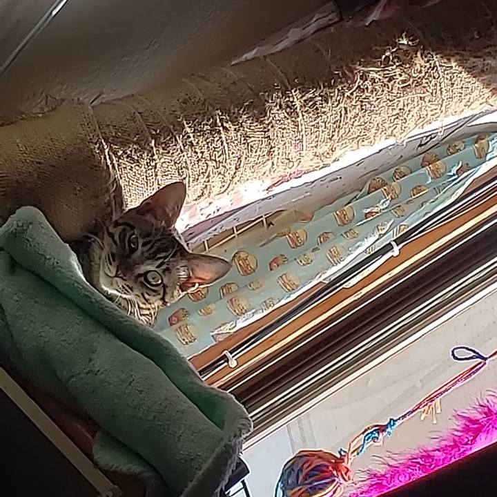 1fa101ab 189d 4da4 adbc 575ec7459901 1542327819029