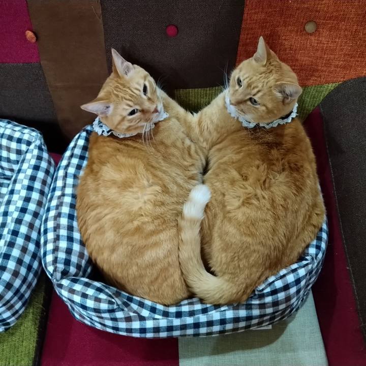 1fa12a7e 2a81 4c64 b663 8441952fd93e 1614422554908