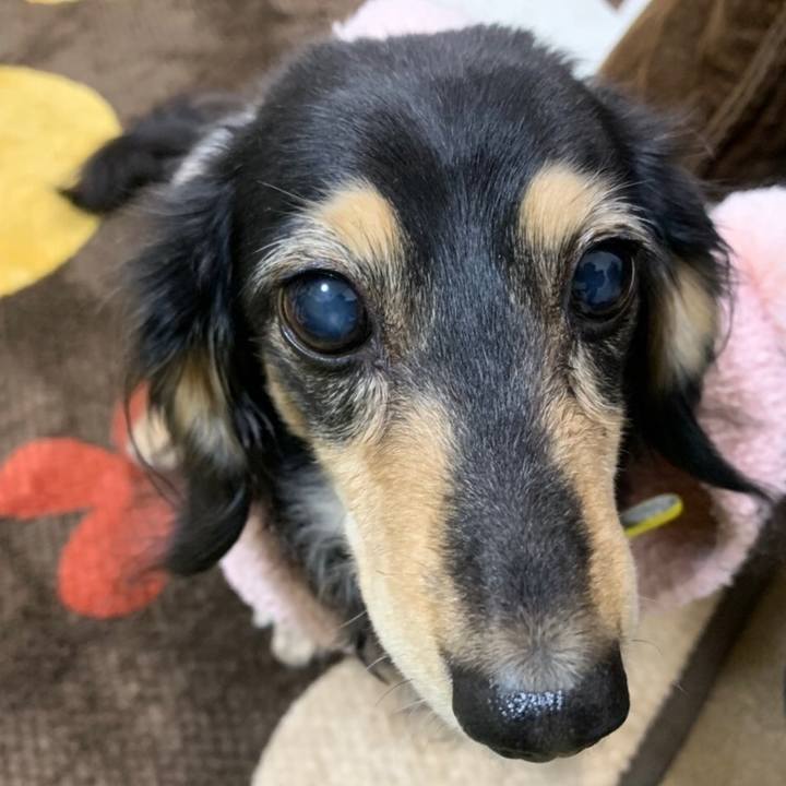 1fa12d1d f55d 4668 b21e 8956a8958b9a 1610346347491