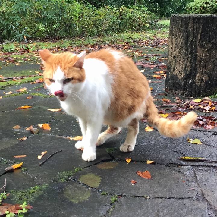 1fa14324 dacc 41c0 9d0a 6bf53721f465 1571637454347