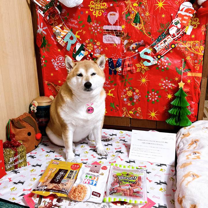 1fa15c15 586d 41e2 be27 9aaea86eb983 1669617891875