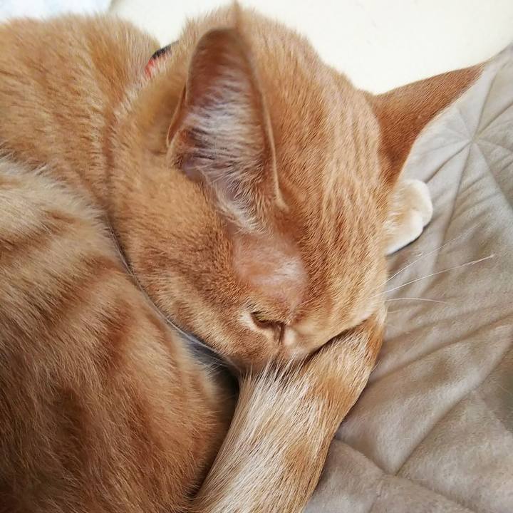 1fa187e9 6fa7 4fe4 b77c 2023a3ac0713 1556092927660