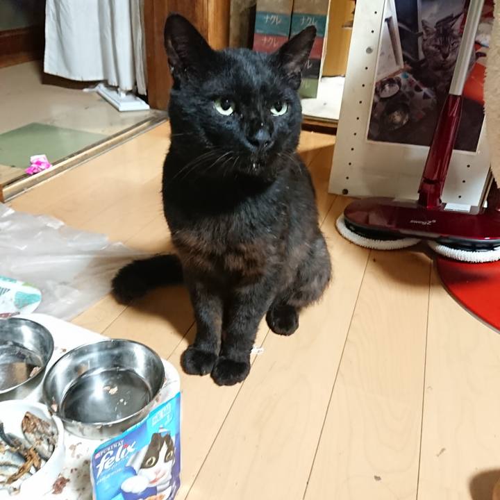 1fa1c234 14f5 4720 9ad1 f74e2a8efa87 1625919452586