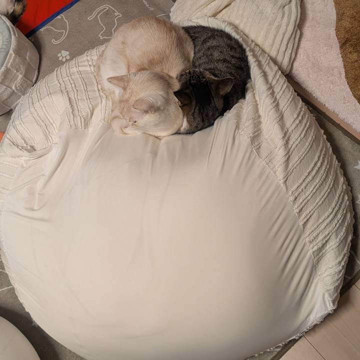 1fa1d0b3 f7f1 405c 879e 1f42a8c48d00 1768817980790