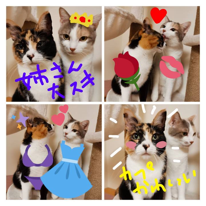 1fa20054 1bd4 4f04 9df8 3ea6dcfc1629 1638368073965