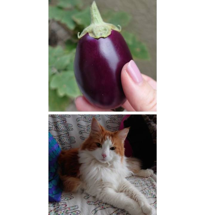 1fa26917 a4c9 4e4e bd28 820a1722ef16 1634273110313