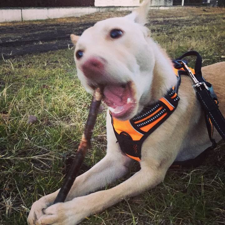 1fa26a35 893a 4163 ab0a 8ed5a6a6892e 1515679948914