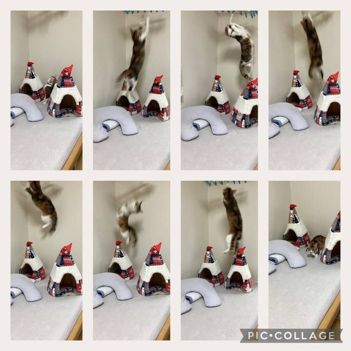 1fa28568 8c58 4449 8176 6ac2e89fc7fe 1665009407860