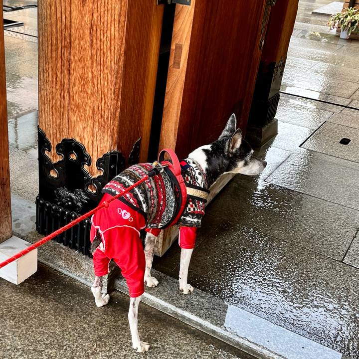 1fa2a719 cf3a 457b a365 2ea431326b7a 1647047488724