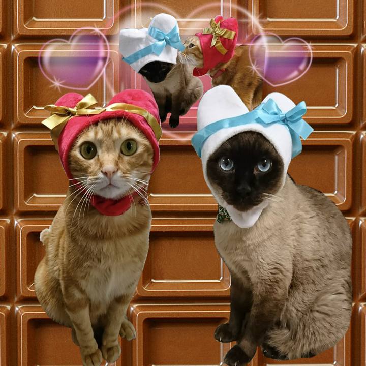 1fa2b5af 9458 400e a53a 8105de9ef194 1542688030969