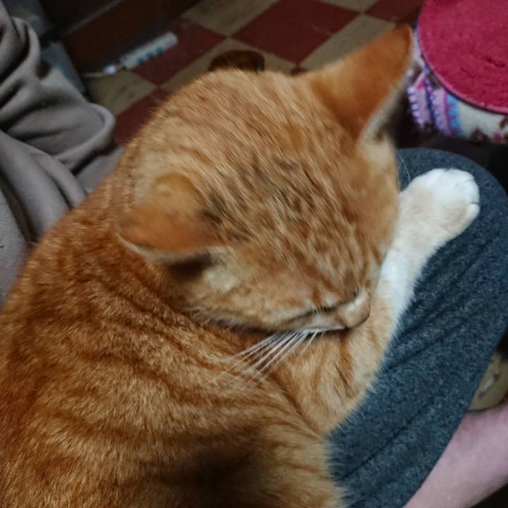 1fa2be1e 755c 4c55 b06e de486cf57db7 1581590437595