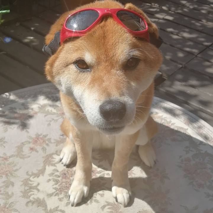 1fa2c38e 9479 49ae 854e 41b85162942f 1584582430163