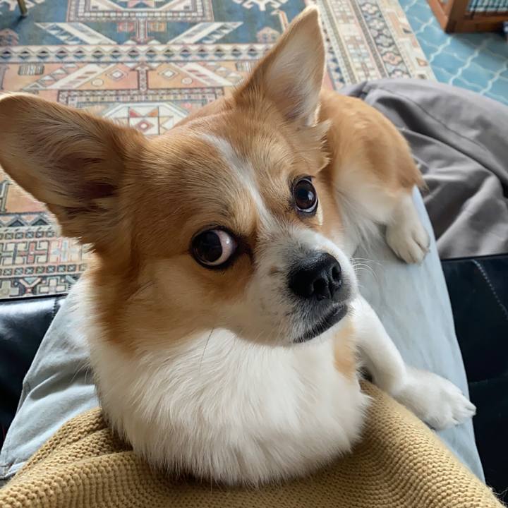 1fa2d6fd 12df 40b9 8f39 e4fbe58688b1 1609918340762