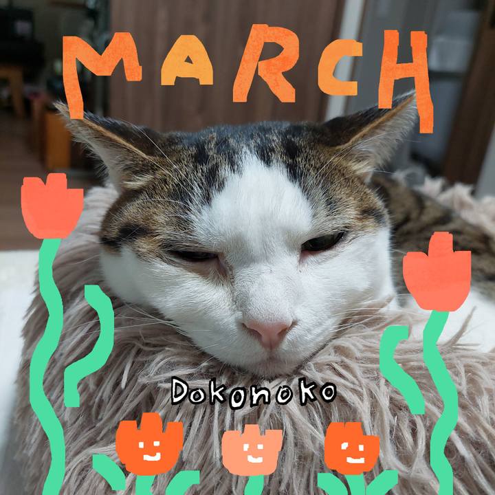 1fa2f776 26ee 4307 9807 5001f8e37fd2 1741556412653