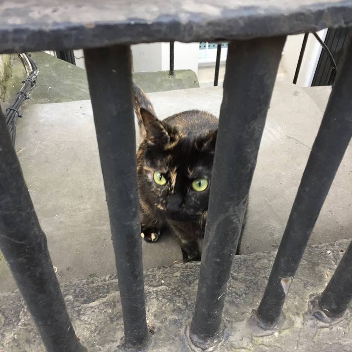 1fa30cc4 da75 42dd ba9b 6f9eea2b2f9f 1523748434654