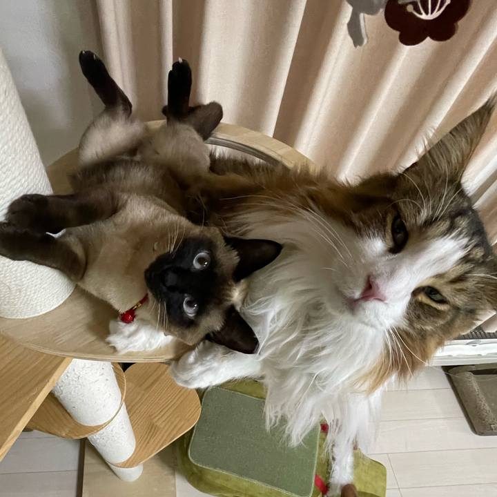 1fa32a16 455d 4e8b bafb 175f973ee52a 1736678674080