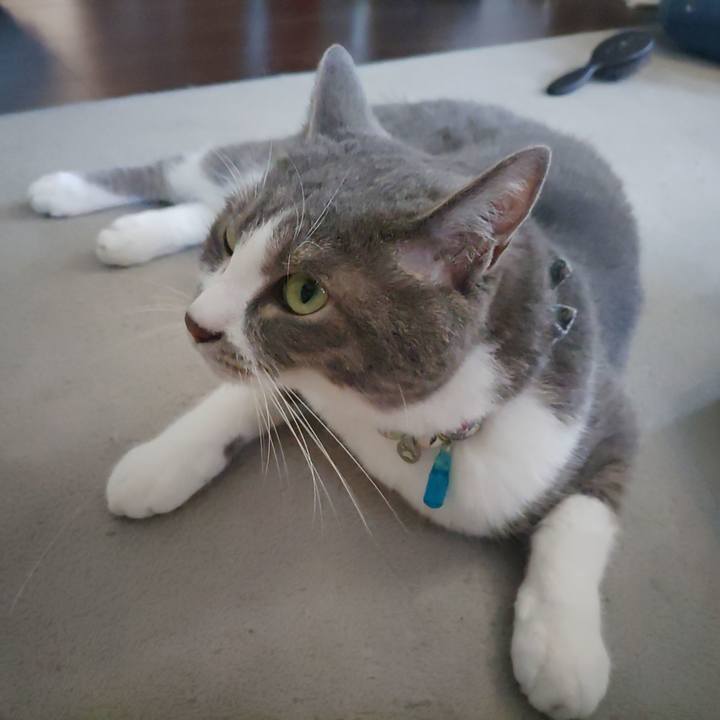 1fa3419c 1243 4109 b99e be0530a3b5f7 1718064775667