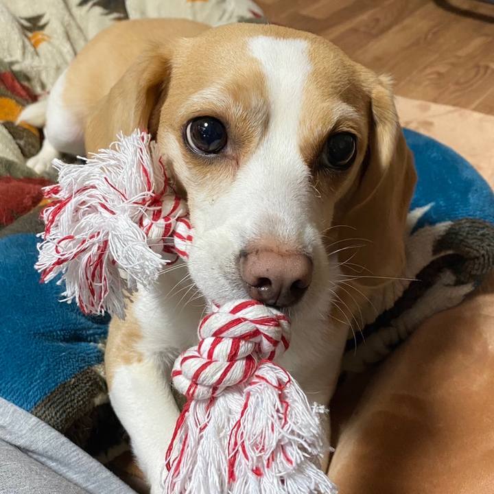 1fa37576 0a93 45ce 8fe7 65324e2b04a8 1649734416688