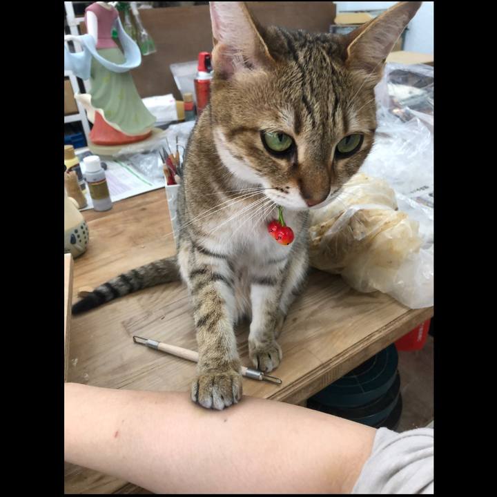 1fa377a8 df40 4148 a22d 43866c379487 1688604938013