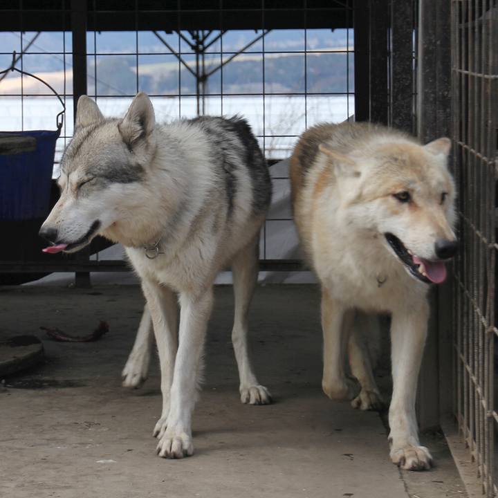 1fa3d623 b840 4fdc 8a51 a90194494329 1551693167099