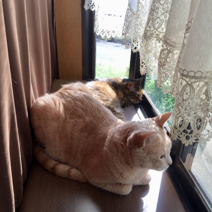 1fa40929 2c93 48a4 acd3 c18c70eecc37 1569972118614