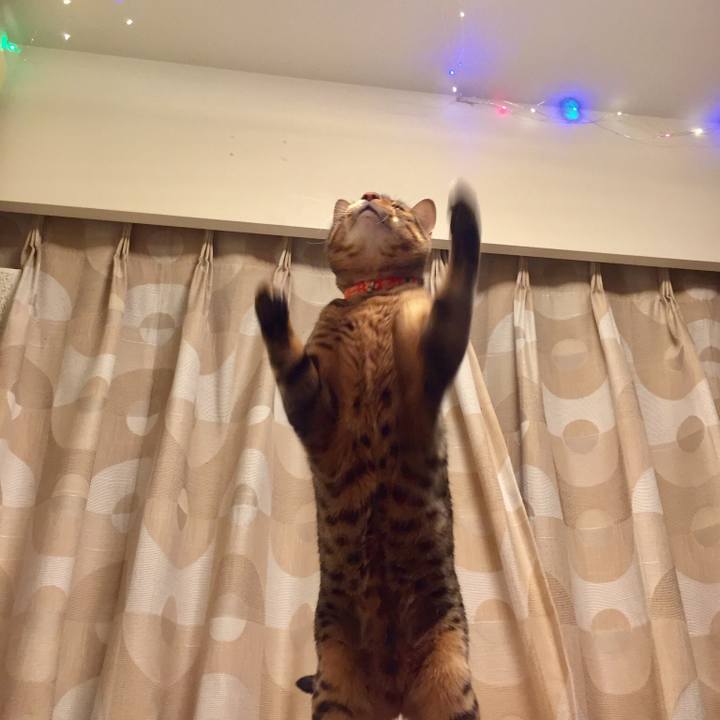 1fa40de9 4bf9 4dbf a72b 6ae8ca68cdb1 1512688969268