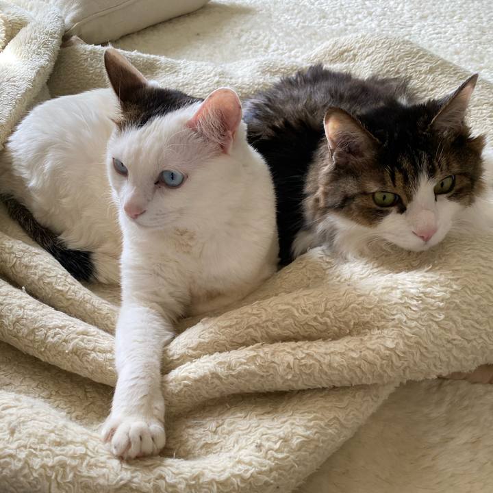 1fa481b5 77ad 4483 ac09 69068b3ebb08 1677018508147