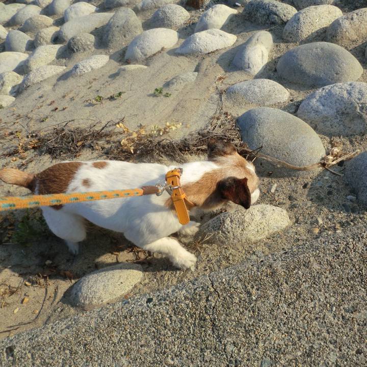 1fa494e8 e11c 4eb5 89cd a4357e22c855 1529920961523