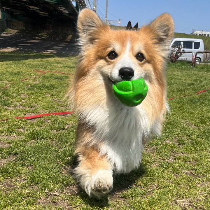 1fa49f3b 61b1 4afe 866a 5e1ab6f326c3 1774187116621