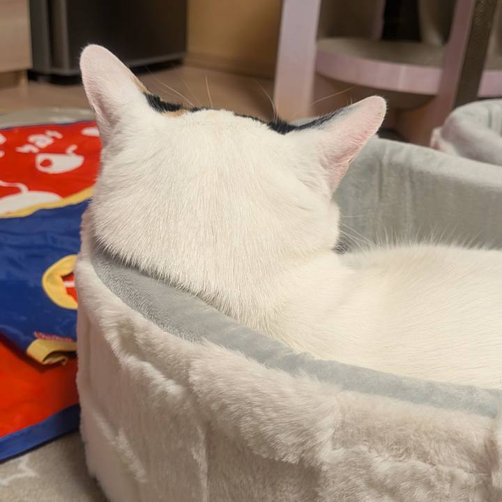 1fa51477 3c35 47f9 bbb6 a1aeb379560e 1768129389186